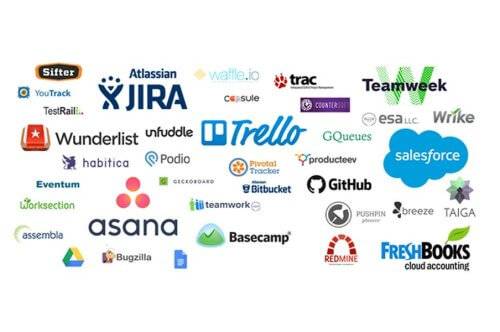 Why Is Software Becoming More Popular?