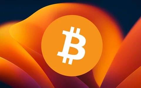Understanding Flash BTC