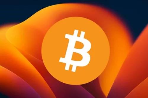 Understanding Flash BTC