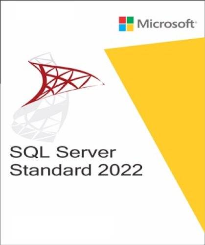 Buy SQL Server 2022 Standard KEY | playnox.net