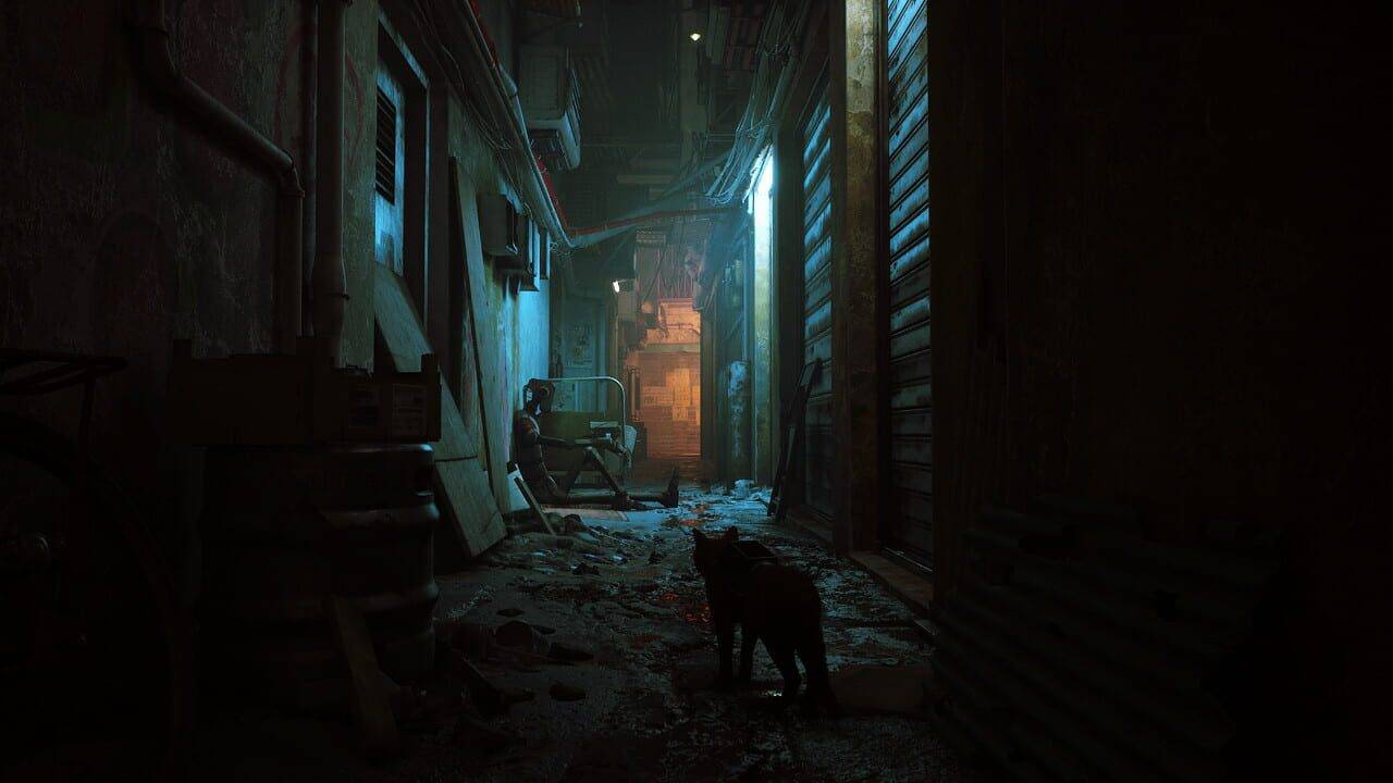 Stray Xbox Series X | S / Xbox One / PC [Digital Code] Egypt