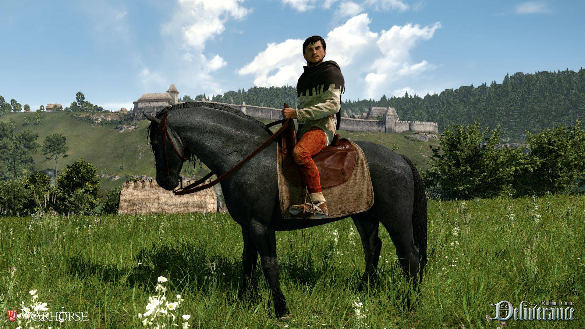 Kingdom Come: Deliverance Steam Game Key GLOBAL 