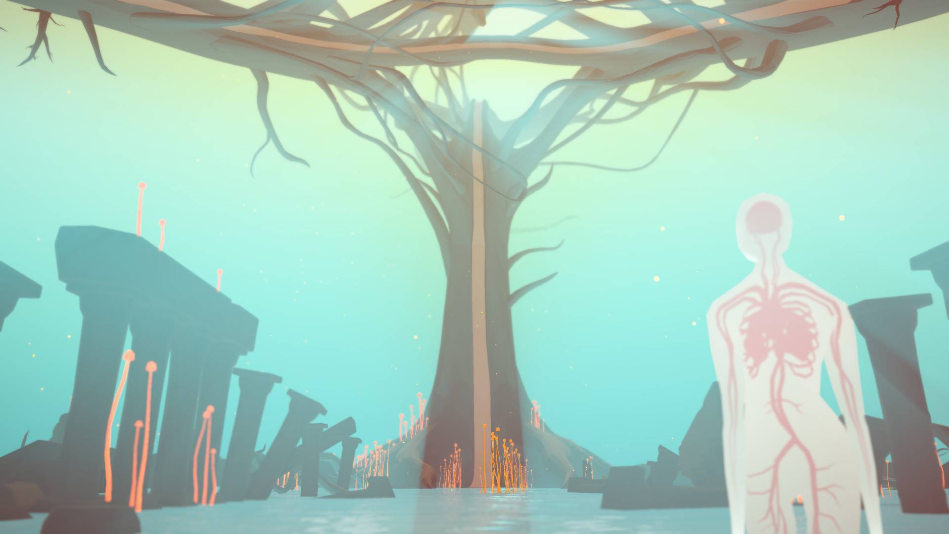 Chiave CD Steam per Etherborn PC