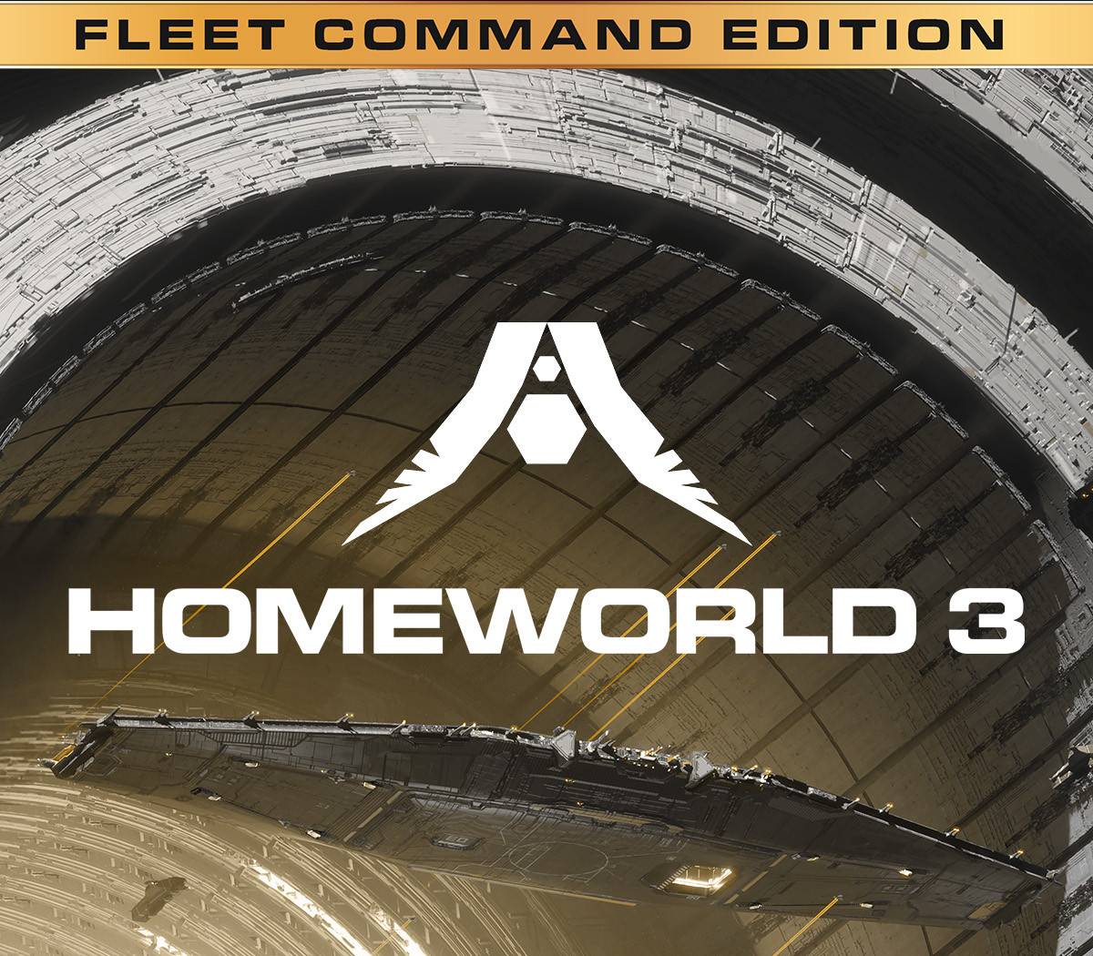 Homeworld 3 Fleet Command Edition Steam-CD-Key
