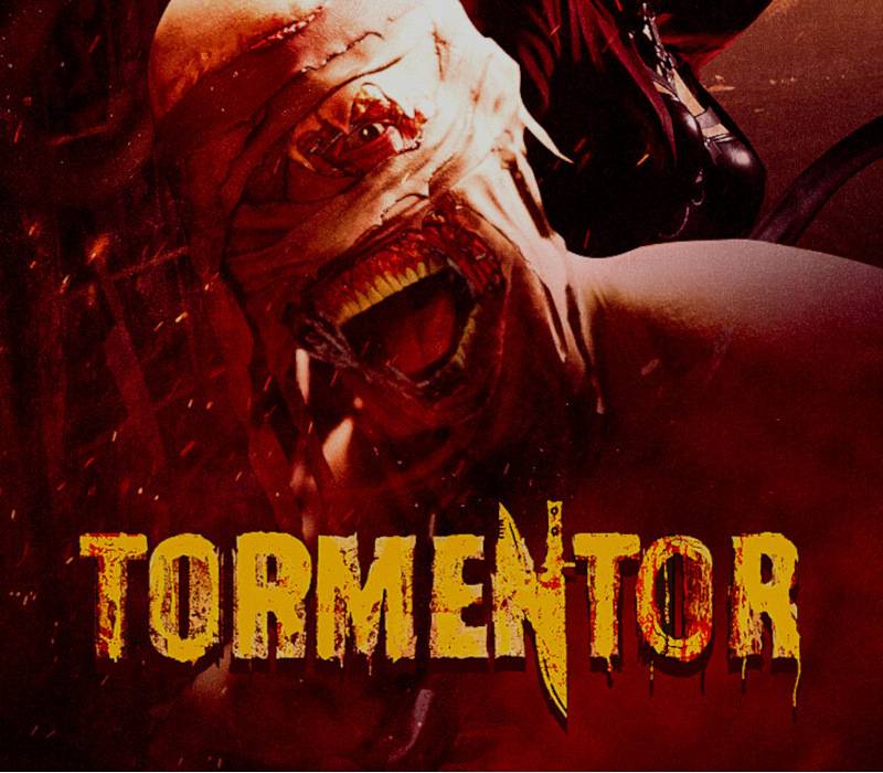 TORMENTOR PC Steam CD Key