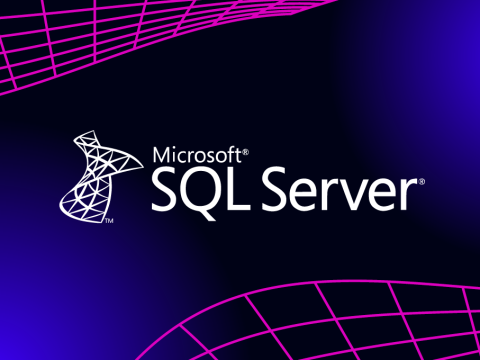 Microsoft SQL Server 2025 Web Edition 64 Cores Lifetime License Key GLOBAL