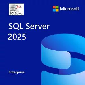Microsoft SQL Server 2025 Enterprise Unlimited Cores Lifetime License Key GLOBAL